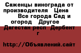 Саженцы винограда от производителя › Цена ­ 800 - Все города Сад и огород » Другое   . Дагестан респ.,Дербент г.